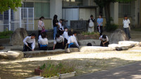 IMGP0372
