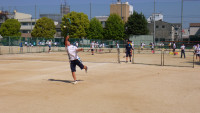 IMGP0381