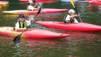 IMGP0520