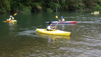 IMGP0518