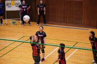 DSC07185