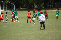 DSC06515
