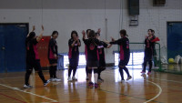 IMGP0249