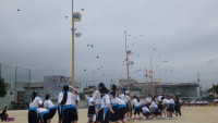 IMGP1028
