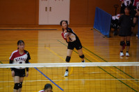 DSC07810
