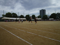 IMG_3908